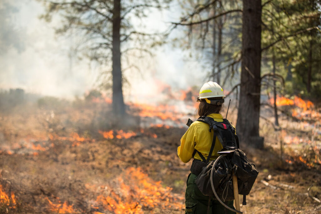 Kentucky Fire Season