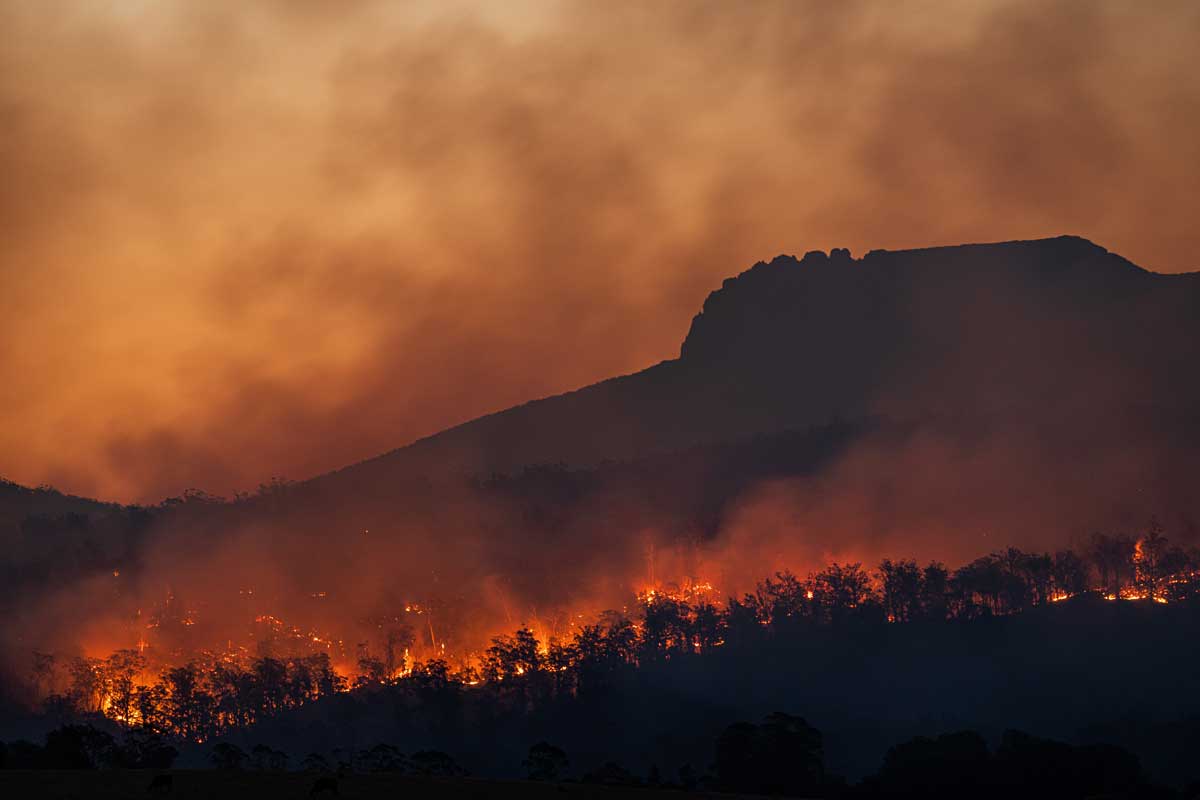Facing Down Spring Forest Fire Season in Kentucky